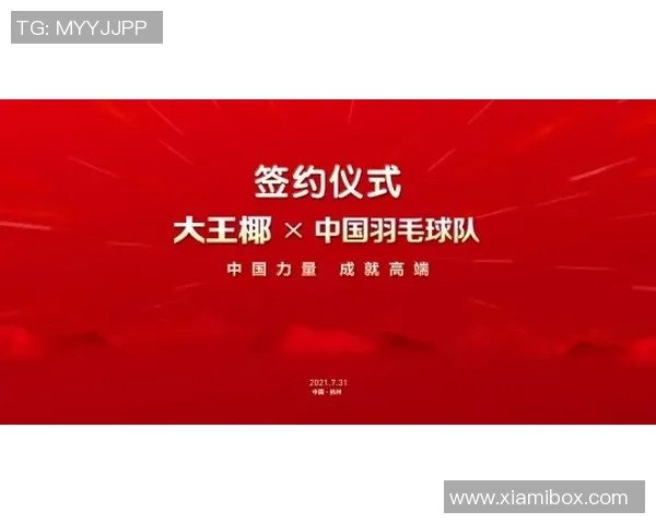 西安羽毛球队总决赛背后的拼搏故事与荣耀时刻