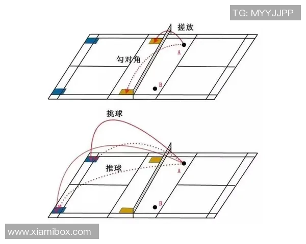 赛后分析：上海羽毛球队与重庆羽毛球队的战术配合与表现评估